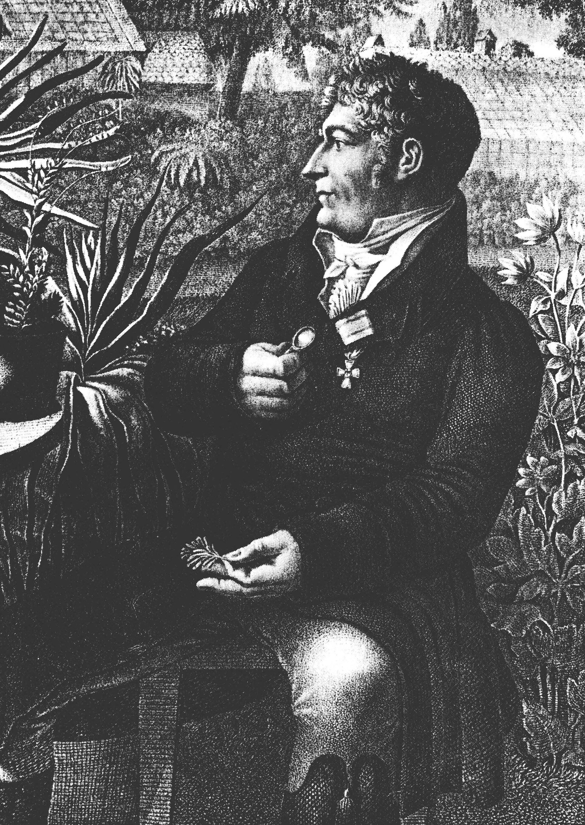Imagem de referência relacionada a Carl Ludwig Willdenow, item descrito como registro de referência sobre Carl Ludwig Willdenow, organizado a partir de dados estruturados abertos