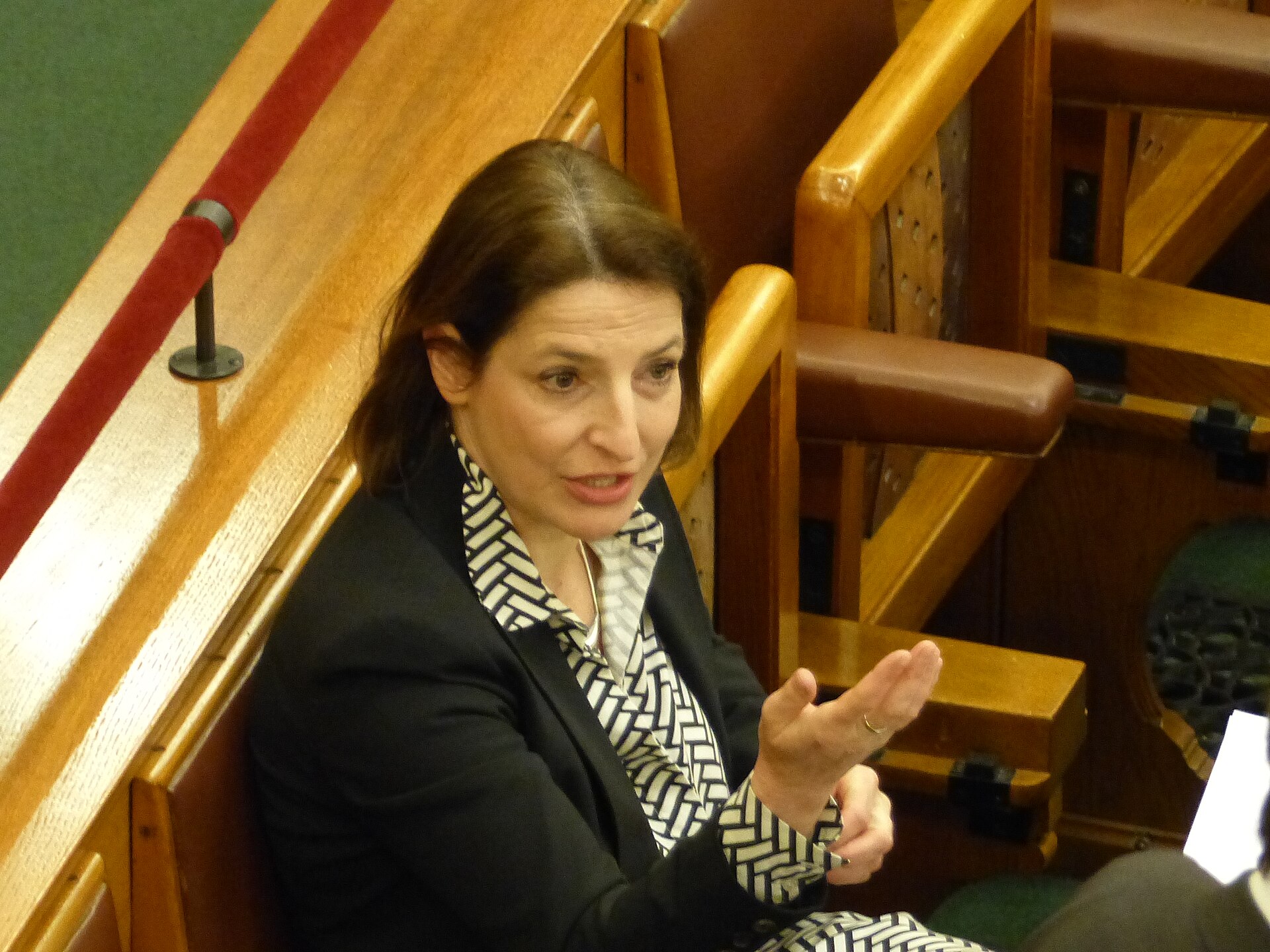 Imagem de referência relacionada a Zsuzsanna Szelényi, item descrito como política húngara