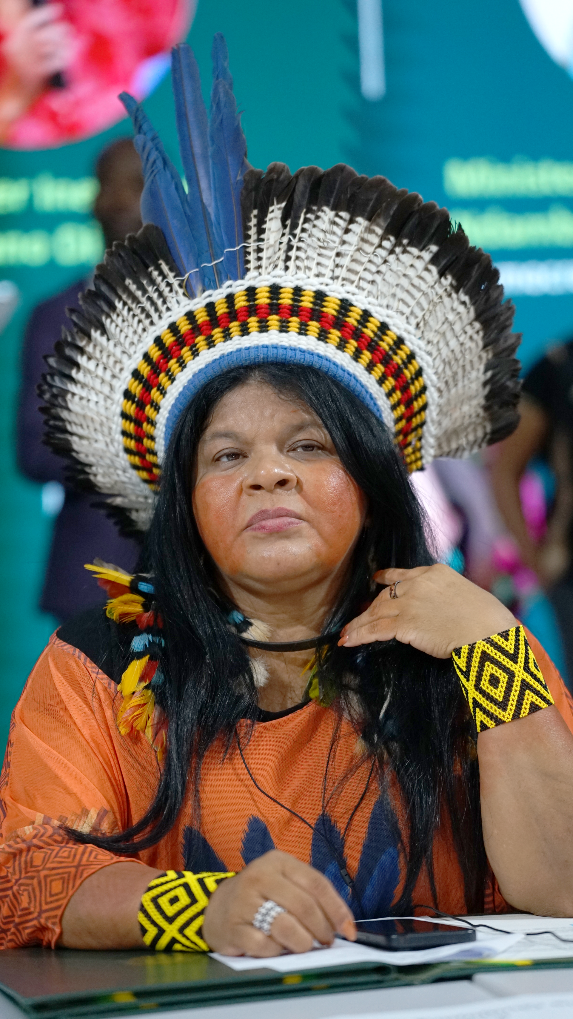 Imagem de referência relacionada a Sônia Guajajara, item descrito como ativista indígena e política brasileira