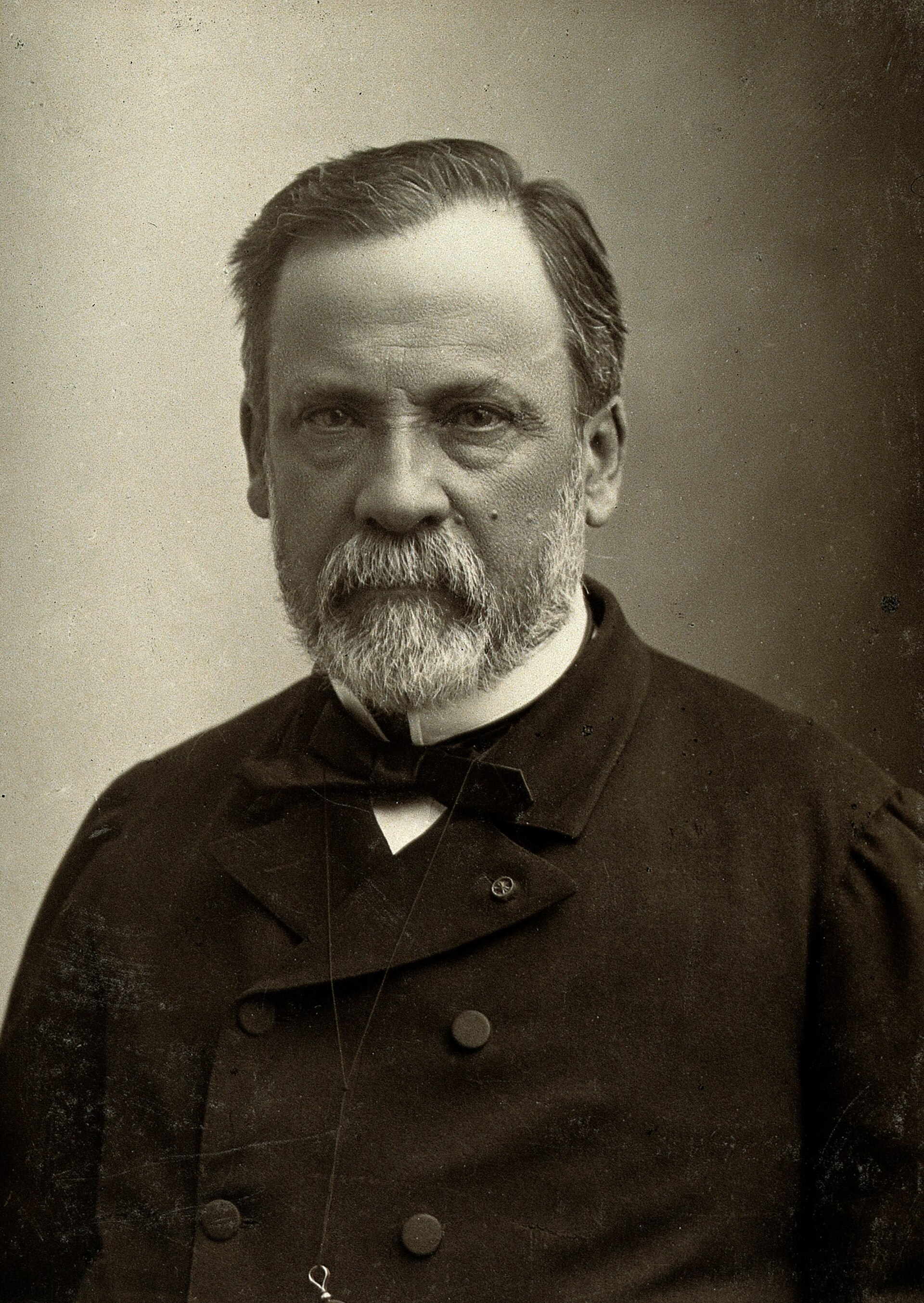 Imagem de referência de Louis Pasteur, descrito nos dados abertos como químico francês