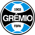 Imagem da matéria: Grêmio libera premiação contra rebaixamento; veja os números