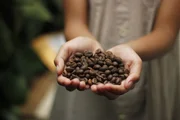 Ranking elege as 50 melhores cafeterias do Brasil; confira a lista completa