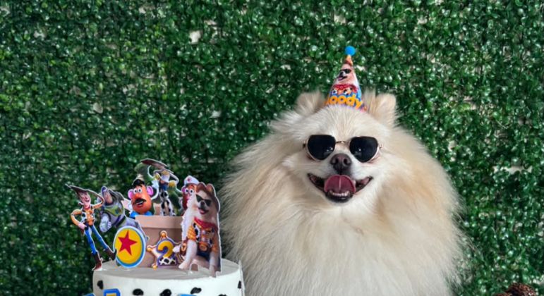 Festa de aniversário para cachorro? O cardápio tem até coxinha e brigadeiro