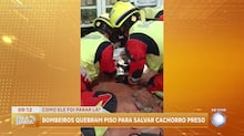 Repórter é atingido ao vivo por onda gigante durante cobertura de tempestade na Espanha
