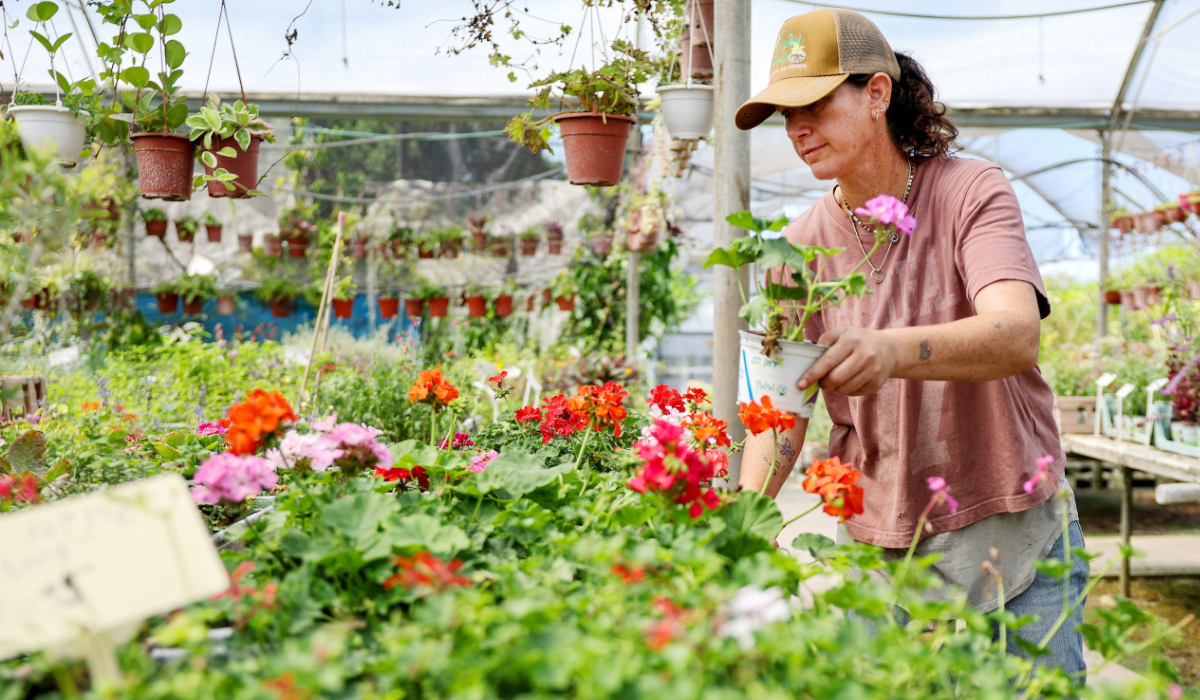 Cansados da guerra, israelenses do norte reconsideram a lealdade a Netanyahu antes das eleições